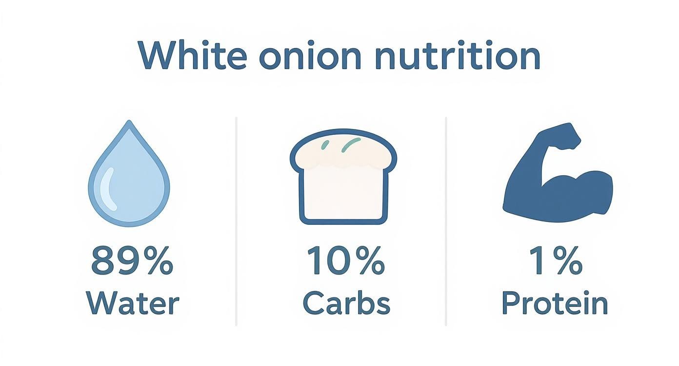 Infographic about calories in white onion
