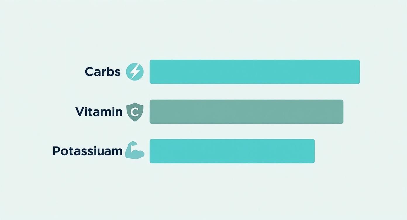 Infographic about fruit bowl nutrition facts