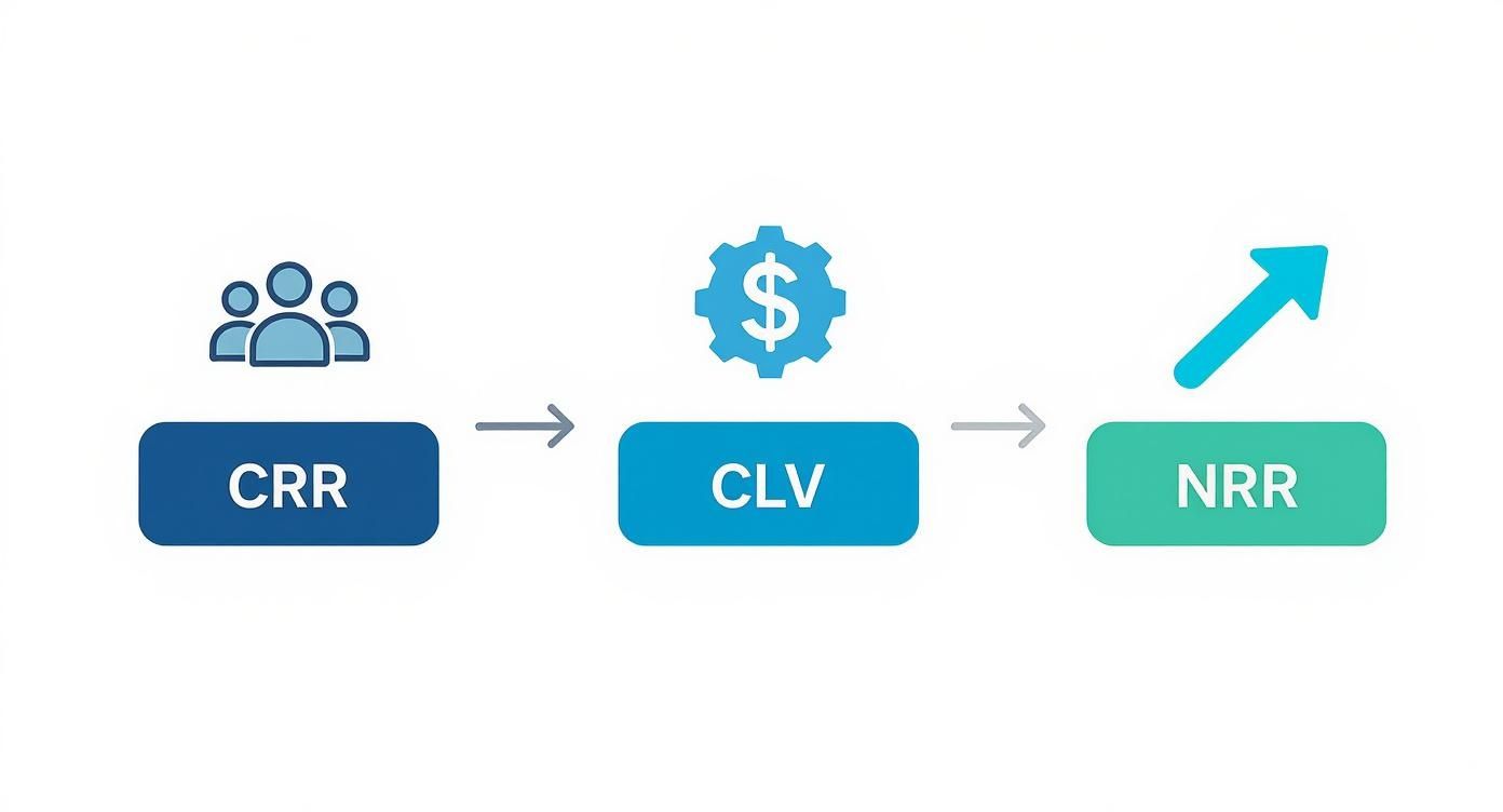 Flow diagram showing Customer Retention Rate (CRR) leading to Customer Lifetime Value (CLV) and then to Net Revenue Retention (NRR).