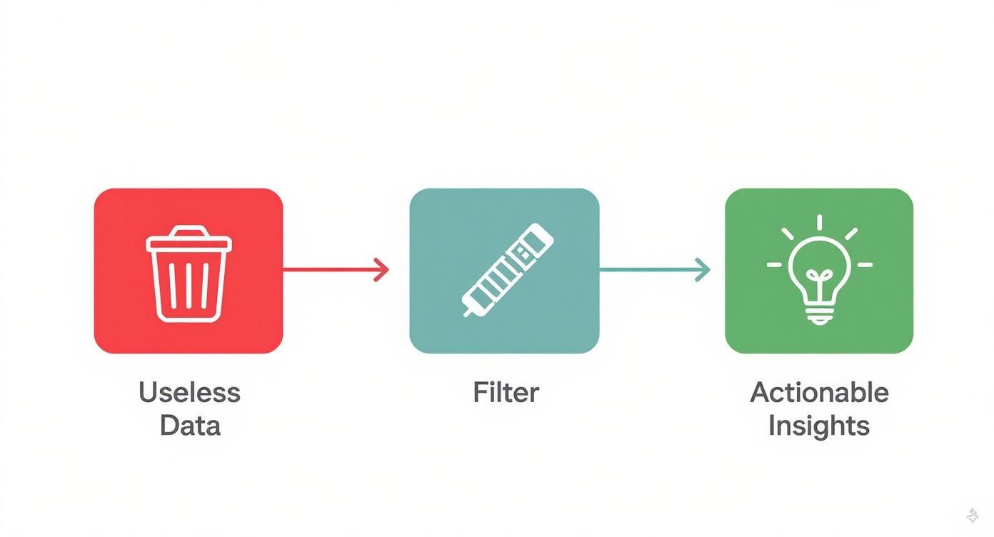 Infographic about analyse survey data