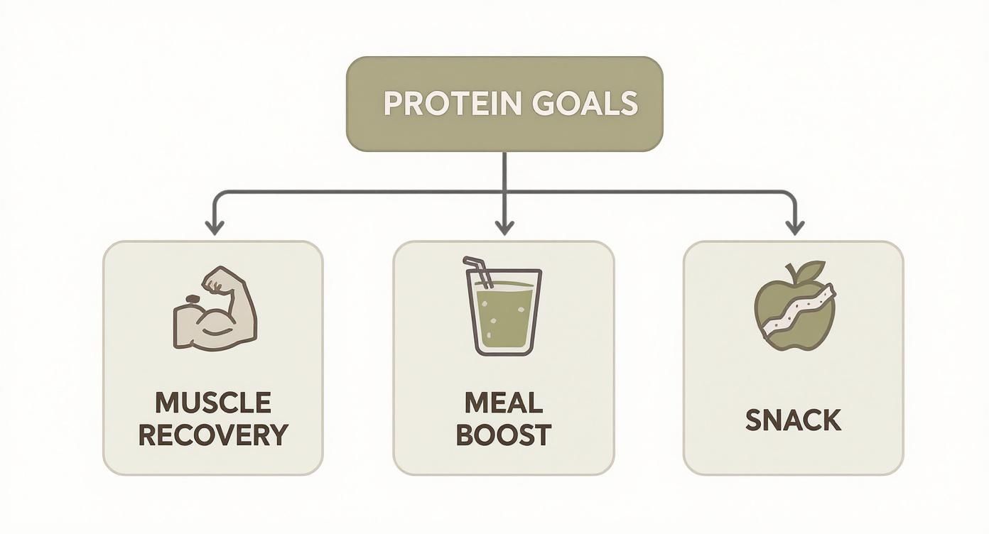 Flowchart showing three protein goals: muscle recovery, meal boost, and snack options with icons