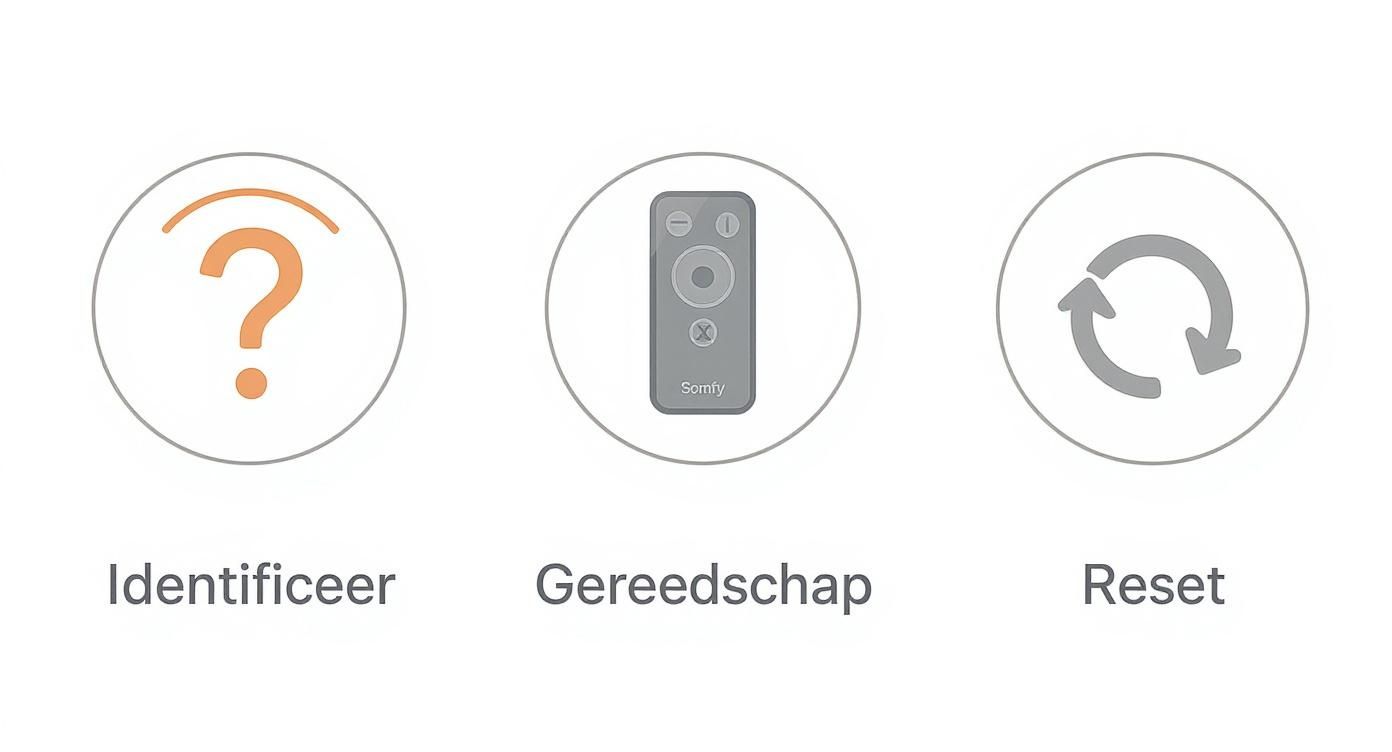 Drie iconen: 'Identificeer' met een vraagteken, 'Gereedschap' met een Somfy afstandsbediening, en 'Reset' met een ververs-icoon.