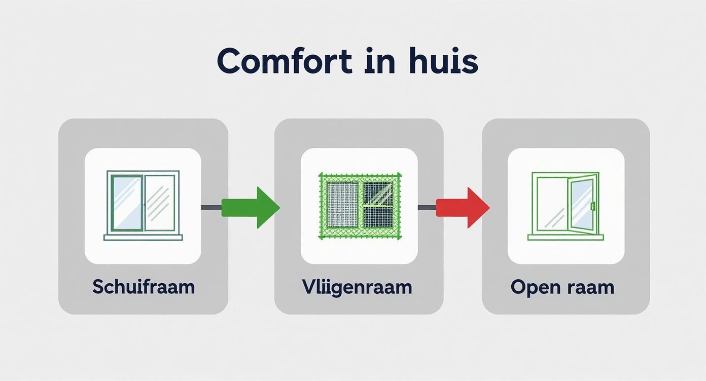 Infographic about vliegenraam voor schuifraam