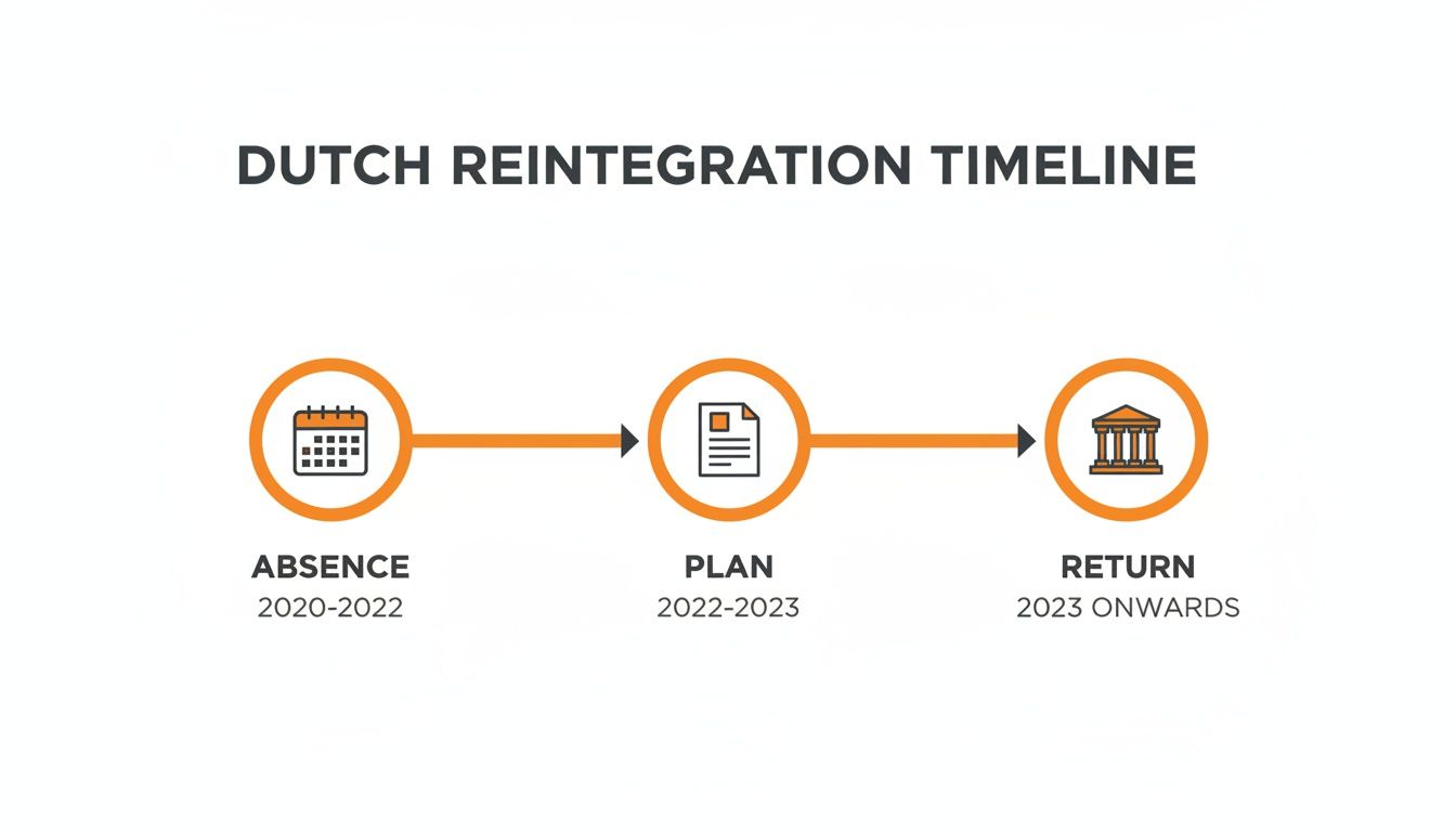 A Dutch reintegration timeline showing three phases: Absence (2020-2022), Plan (2022-2023), and Return (2023 onwards).