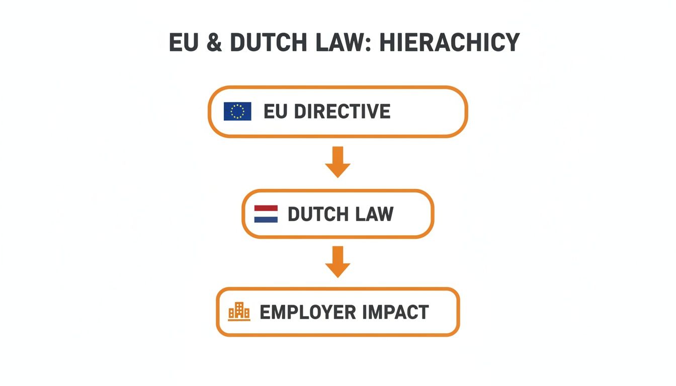 Guide to Salary Transparency Legislation: A Dutch Compliance Manual for 2026 4 Flowchart illustrating the hierarchy of EU Directive, Dutch Law, and employer impact.