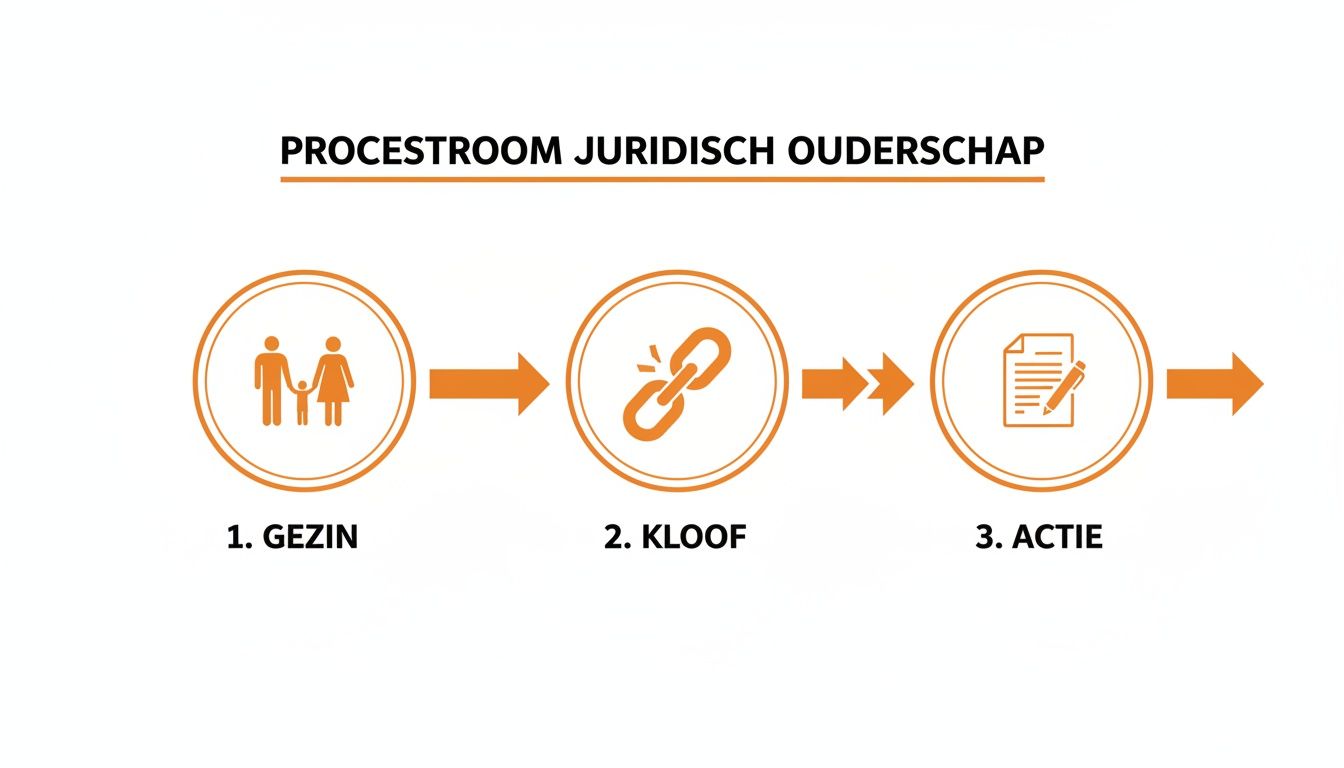 Hoe regelt u de erkenning van ouderschap als koppel van gelijk geslacht? 1 Een infographic toont de processtroom van juridisch ouderschap in drie stappen: gezin, kloof en actie.
