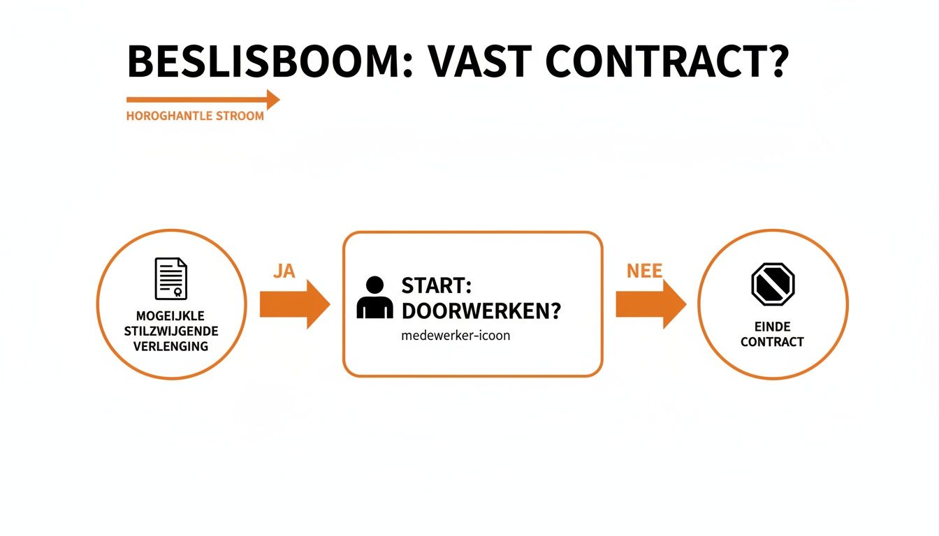 Beslisboom over de vraag of een vast contract ontstaat, met stappen voor doorwerken, stilzwijgende verlenging en einde contract.
