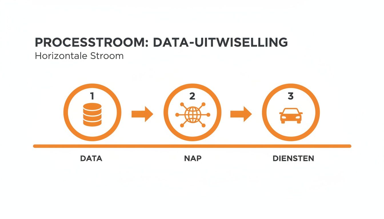 Schematische weergave van de horizontale processtroom voor data-uitwisseling, van data via NAP naar diensten.
