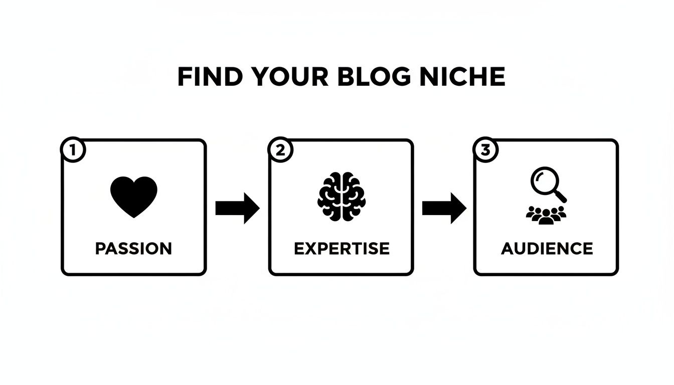 Diagram illustrating the process of finding your blog niche through passion, expertise, and target audience.