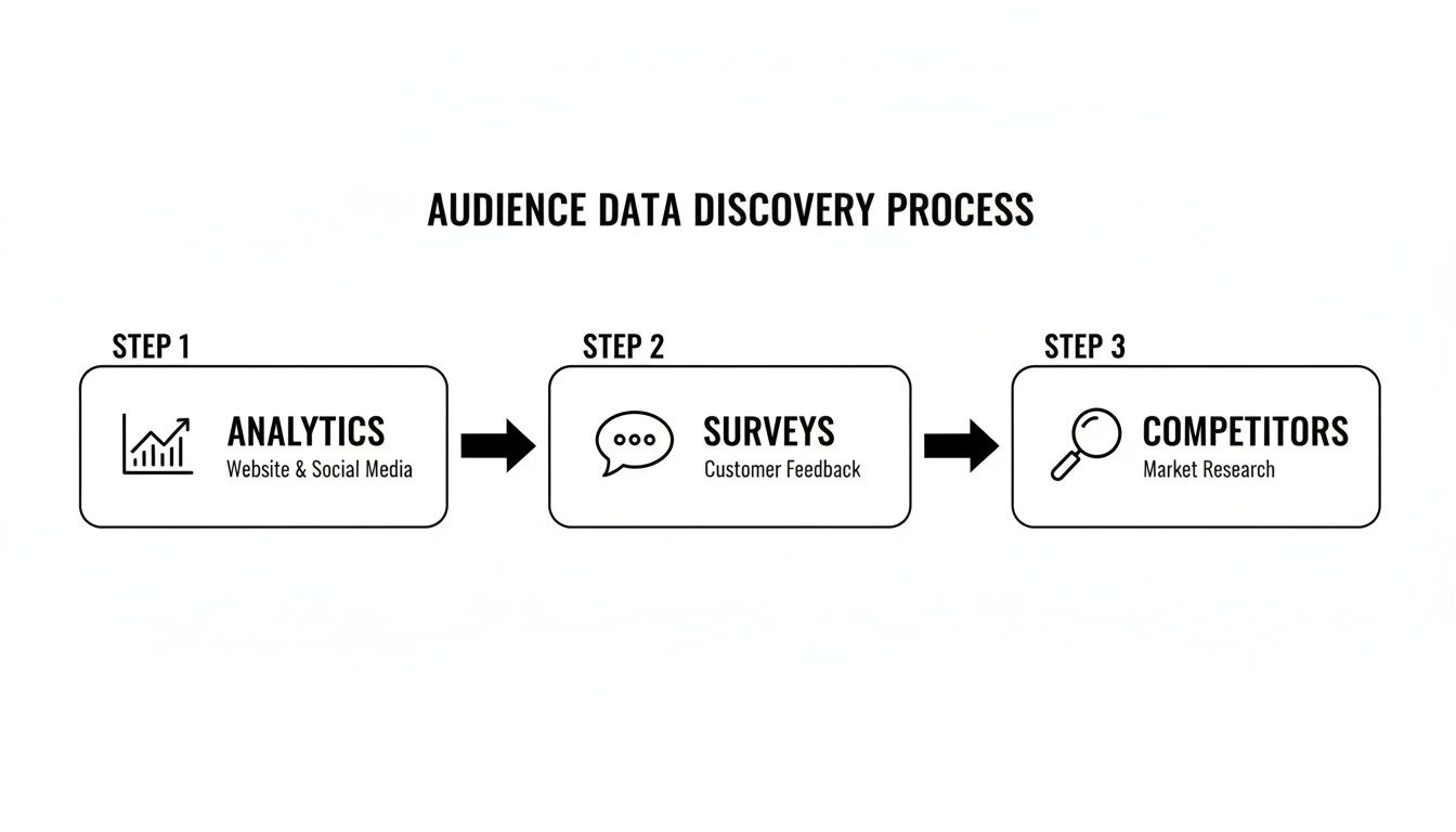 A three-step process diagram shows audience data discovery via analytics, surveys, and competitor research.
