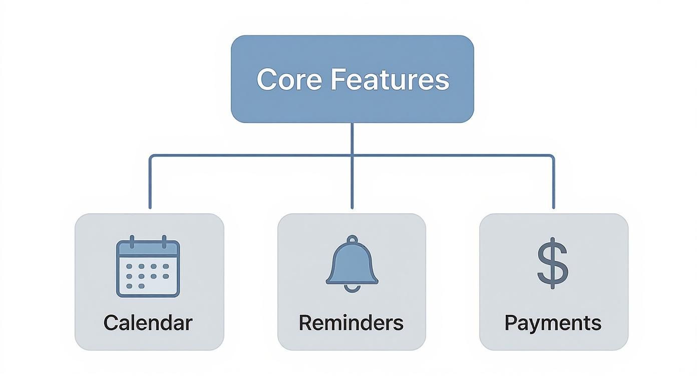 Infographic showing the core features of a booking system: Calendar, Reminders, and Payments branching from a central point.