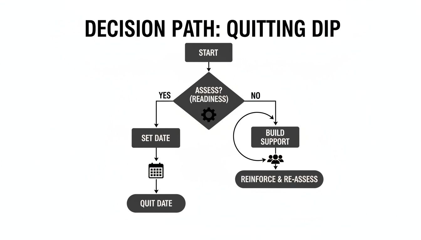 Flowchart showing a decision path for quitting dip, assessing readiness, building support, and setting a quit date.