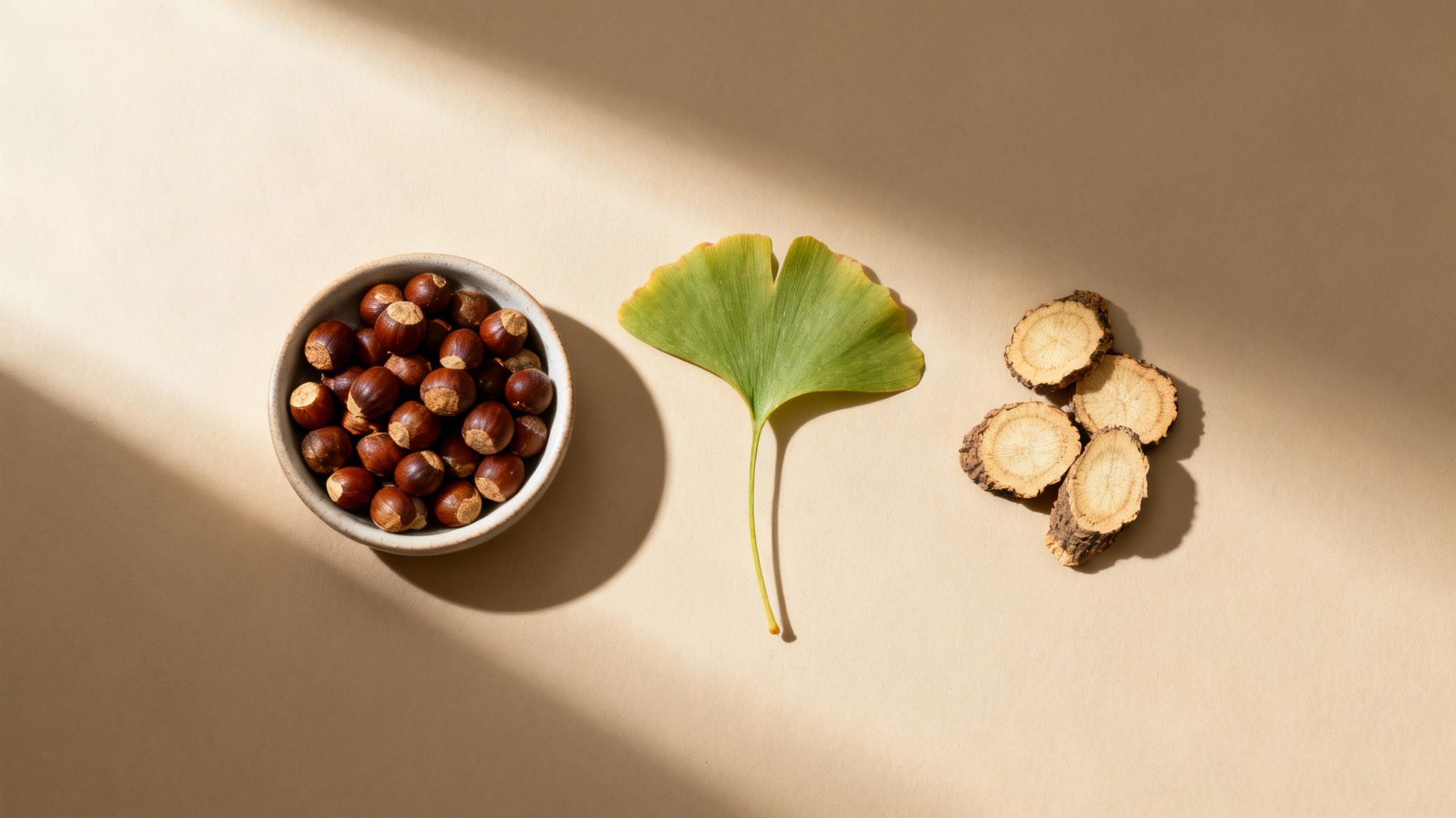 A close-up of green leaves with sunlight filtering through, evoking a sense of natural energy and health.