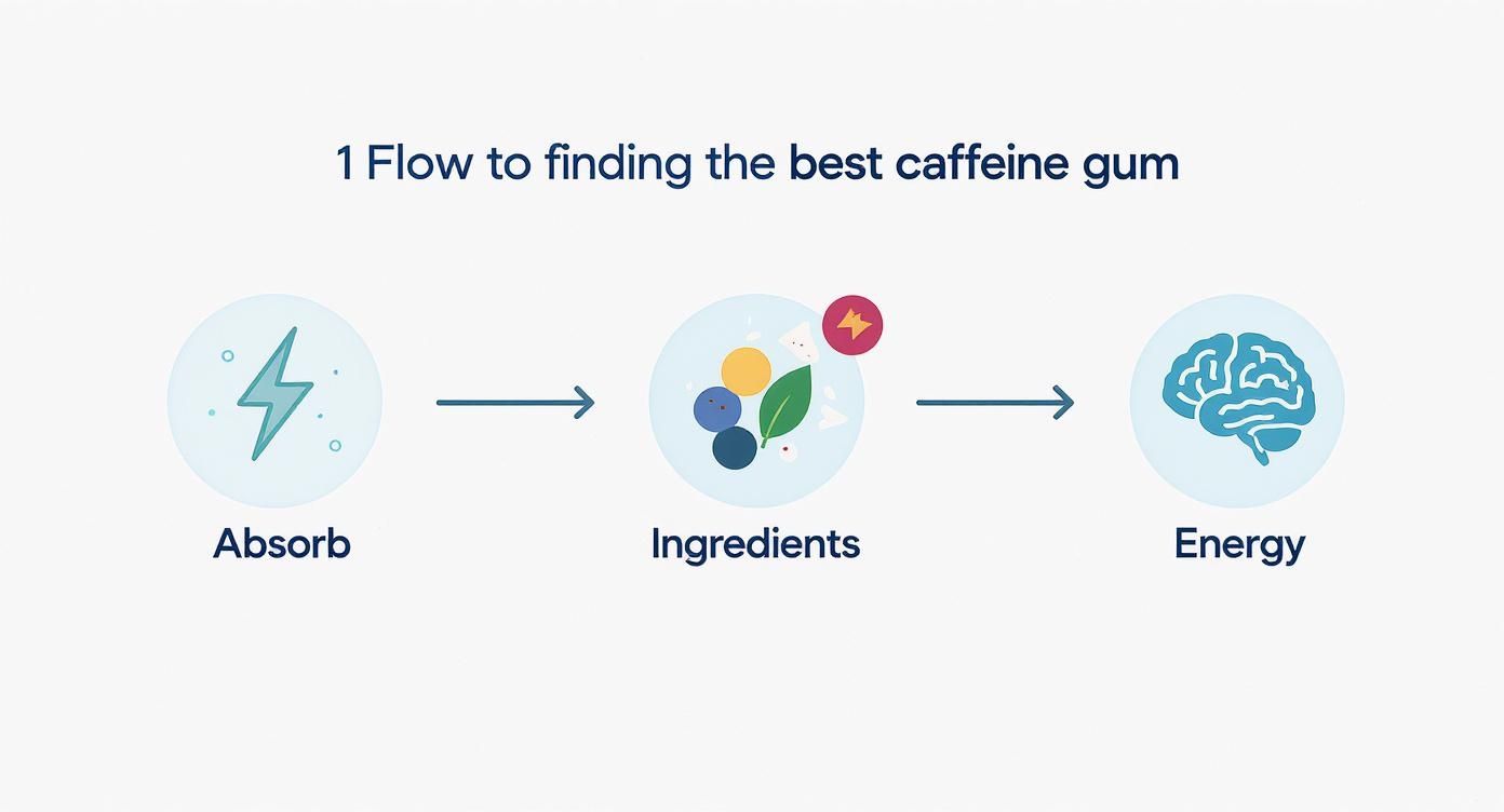A flowchart showing the process of finding the best caffeine gum: Absorb, Ingredients, Energy.