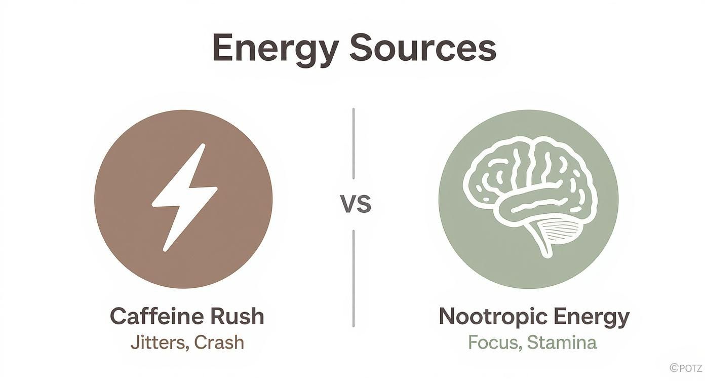 Comparison of energy sources: Caffeine Rush (jitters, crash) versus Nootropic Energy (focus, stamina).