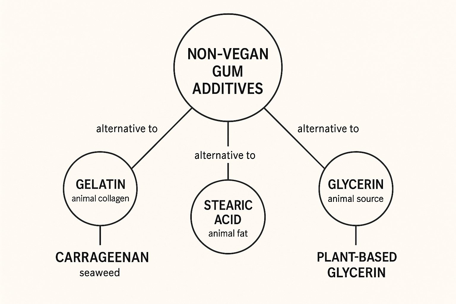 Infographic about gum that is vegan