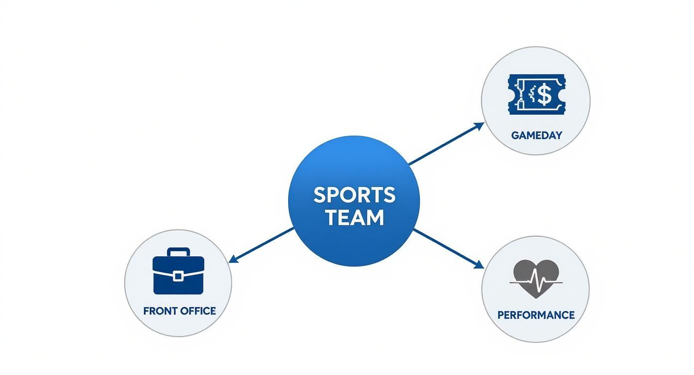 Sports team organizational structure showing front office, gameday, and performance department connections