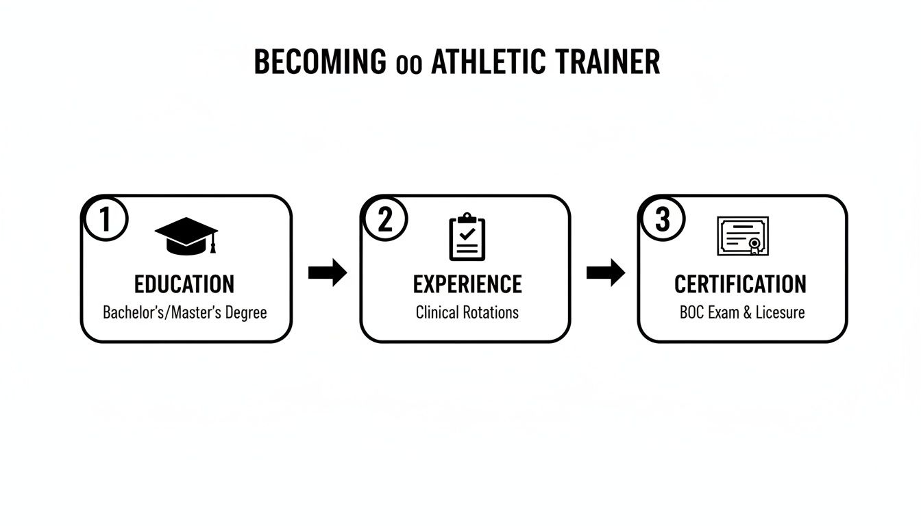 A visual guide illustrating three steps to become an athletic trainer: education, experience, and certification.