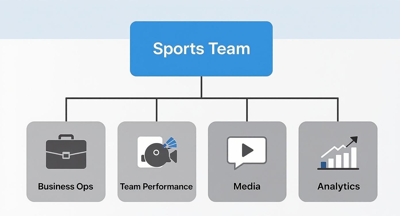 An organizational chart showing a Sports Team divided into Business Ops, Team Performance, Media, and Analytics.