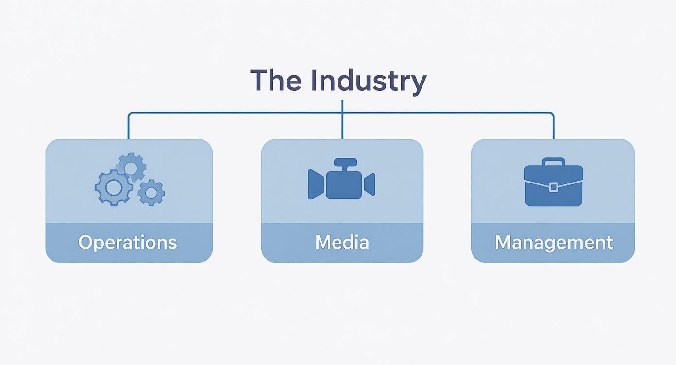 Diagram showing three main divisions of the industry: Operations, Media, and Management with icons