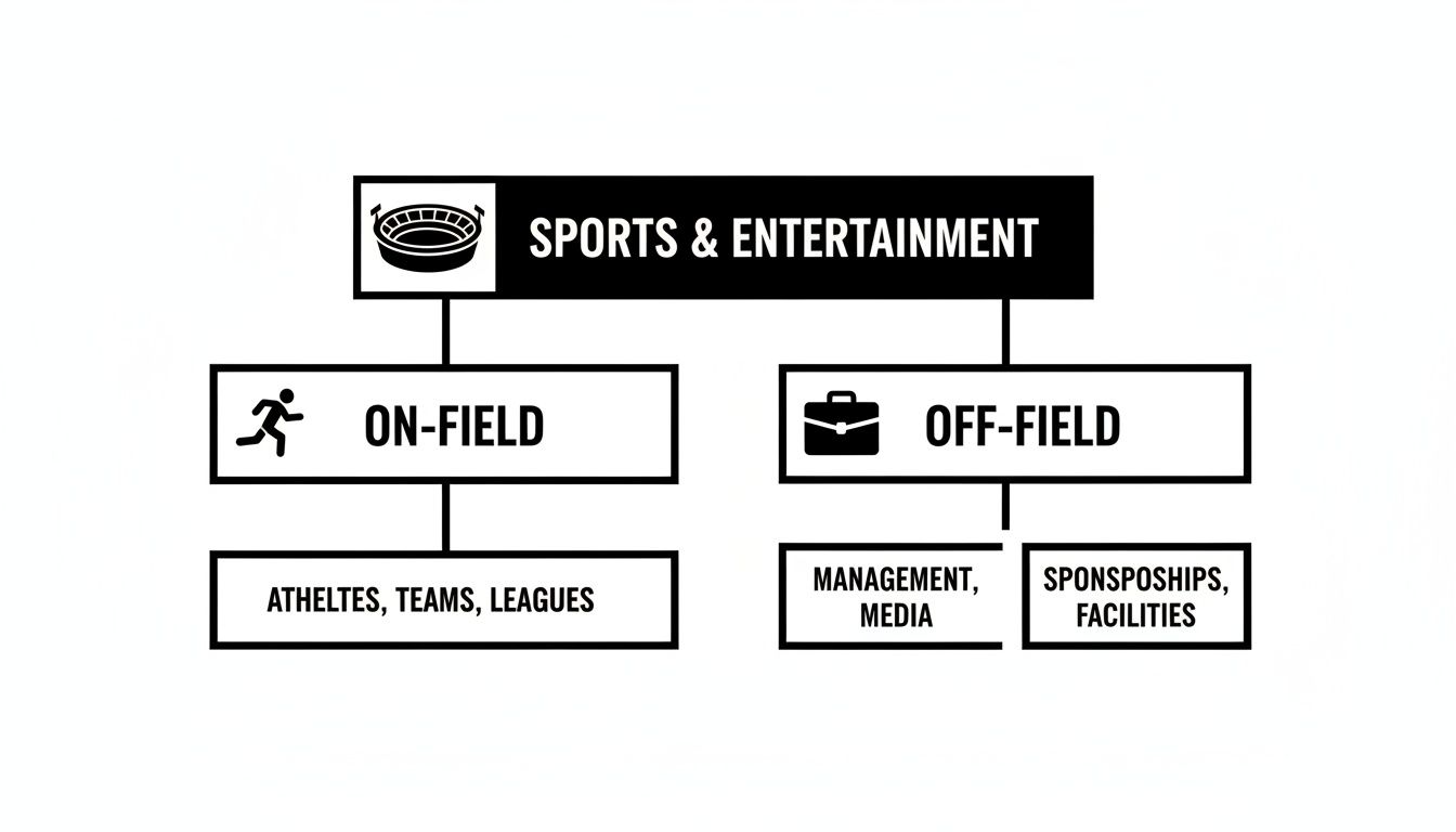 A flowchart categorizing the sports and entertainment industry into on-field and off-field aspects.