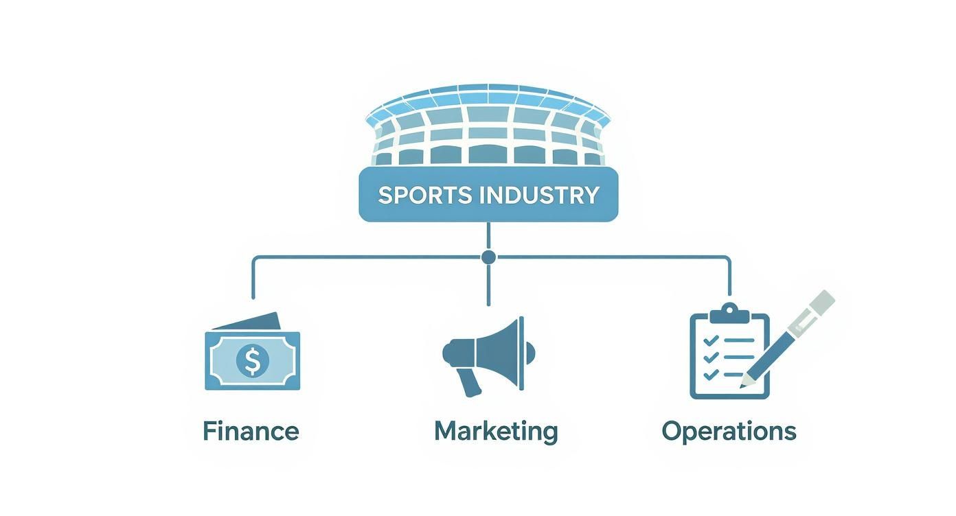A diagram showing the sports industry connected to its three core functions: Finance, Marketing, and Operations.
