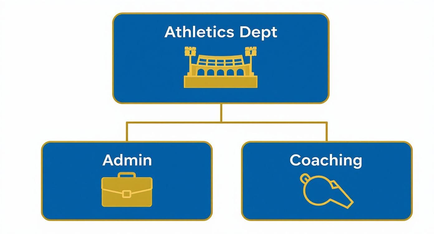 Organizational chart showing Athletics Department structure with Admin and Coaching divisions beneath it