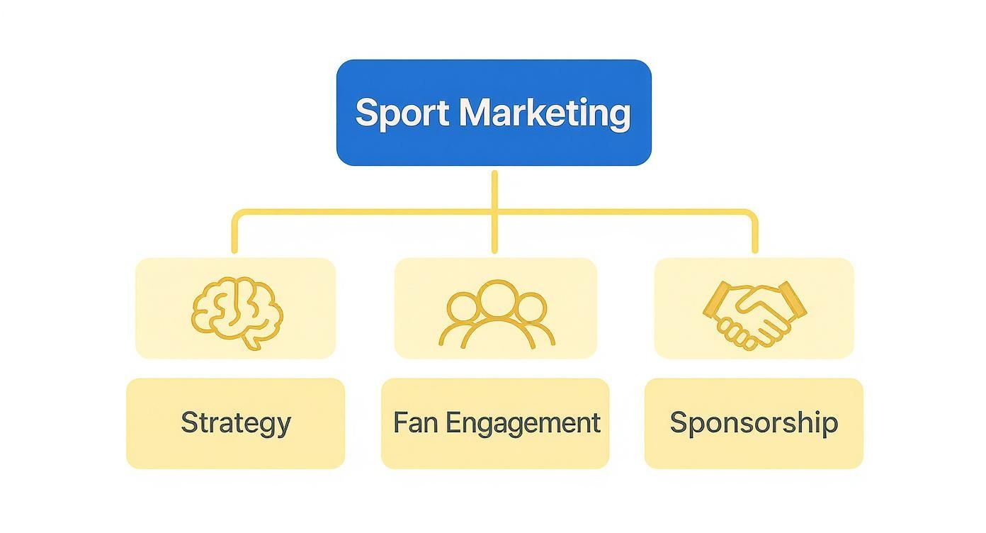 A diagram illustrating Sport Marketing broken down into Strategy, Fan Engagement, and Sponsorship, each with an icon.