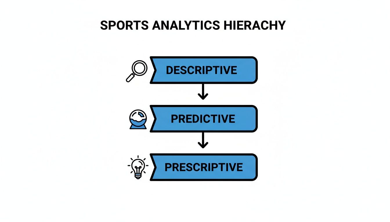 A hierarchy chart showing the three levels of Sports Analytics: Descriptive, Predictive, and Prescriptive.