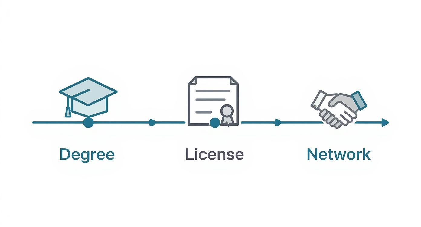 Professional pathway timeline showing graduation degree, license certification, and networking steps for sports agents