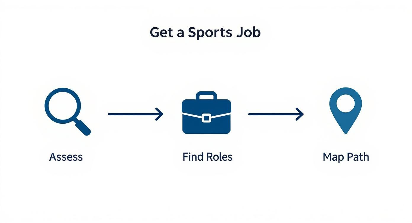 How to Get a Job in Sports and Build Your Career
