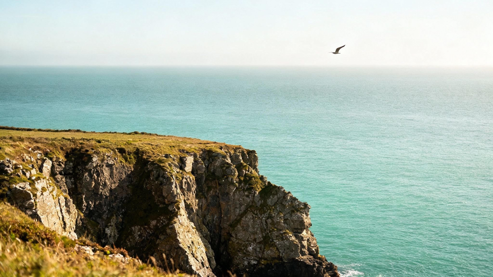 Pembrokeshire Coast National Park