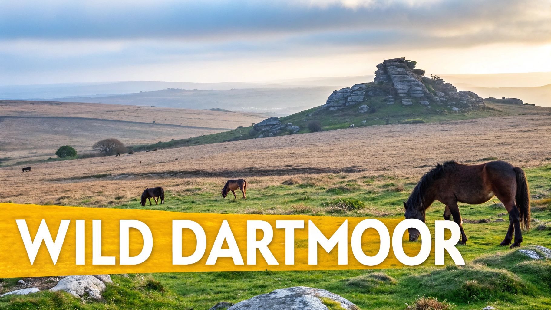 Top 10 Unforgettable England Scenic Drives for 2025 5 Wild ponies graze on Dartmoor's vast moorland with a distinctive rock tor under a dramatic sky.