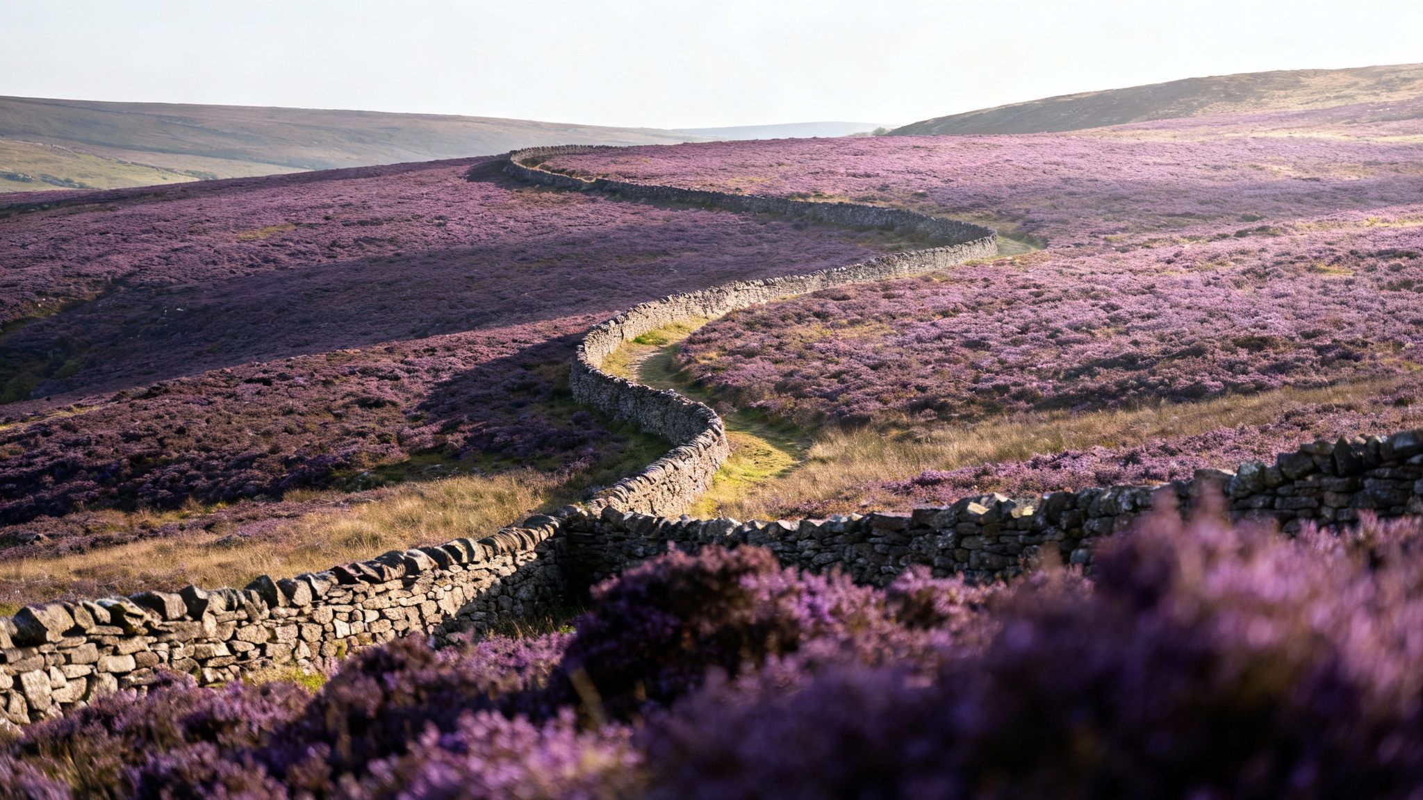 Infographic showing key data about the North York Moors and Yorkshire Dales Adventure