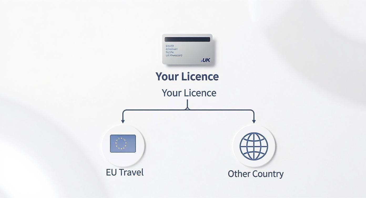 International Driving License Requirements for UK Drivers 3 Infographic about international driving license requirements