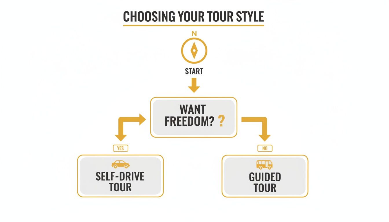 A flowchart showing how to choose a tour style based on wanting freedom: self-drive or guided.