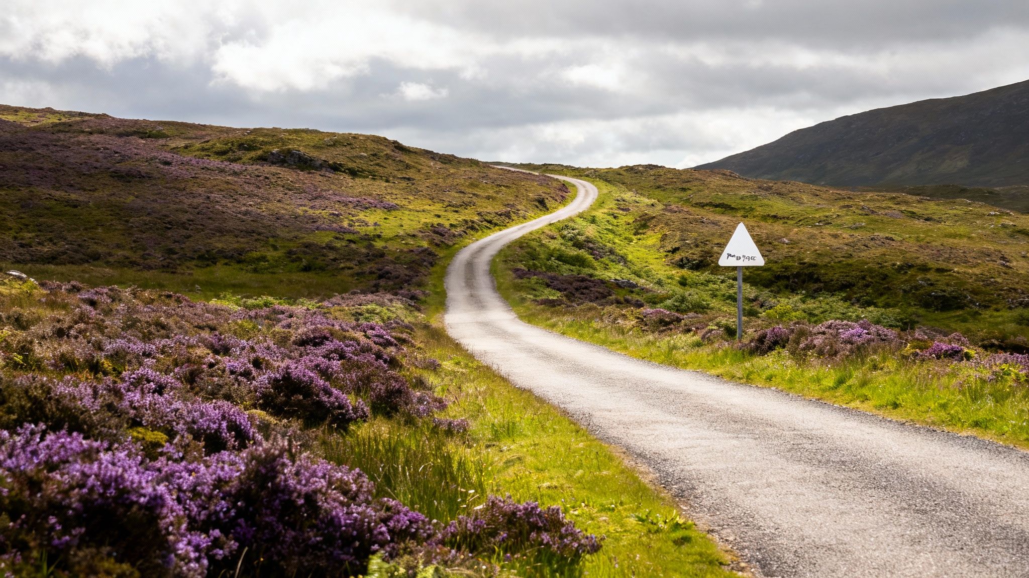 Your Ultimate Guide to Scotland Highlands Tours 5 A car driving on a scenic, single-track road in the Scottish Highlands