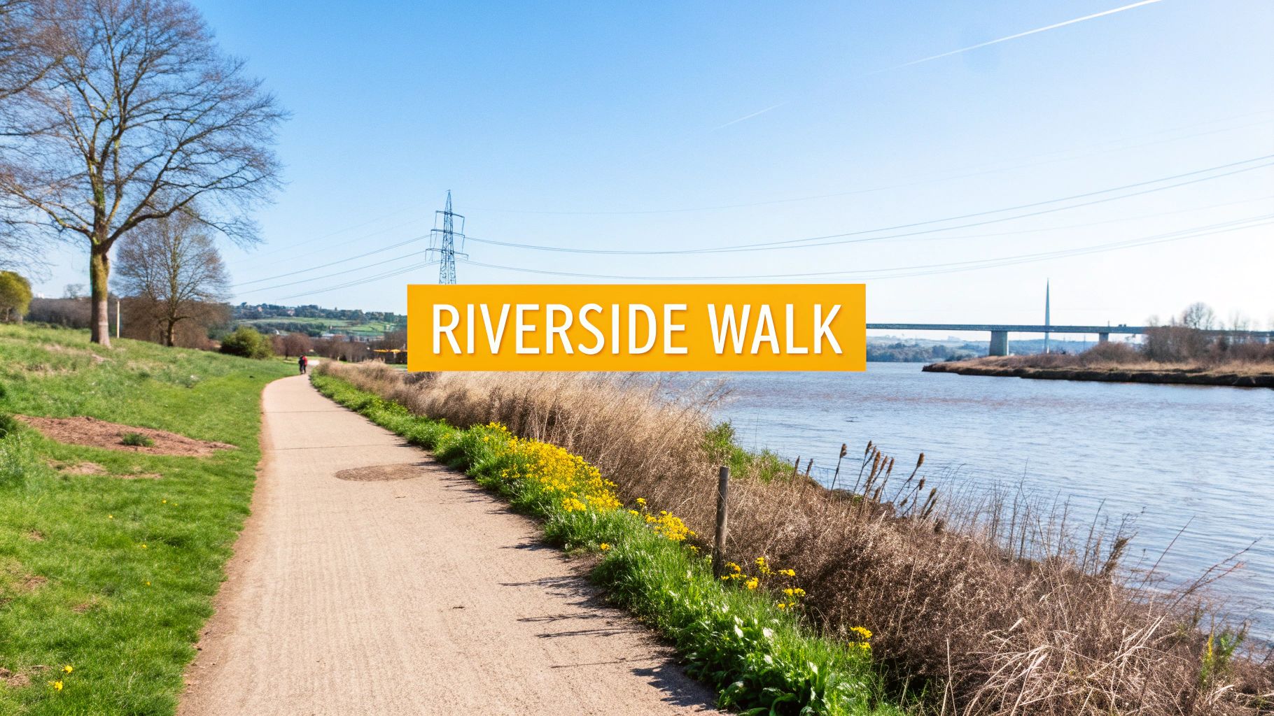 Things to do in shrewsbury: Top Attractions & Hidden Gems 4 A scenic riverside walk path with green grass, yellow flowers, a bridge, and an electricity pylon under a clear sky.