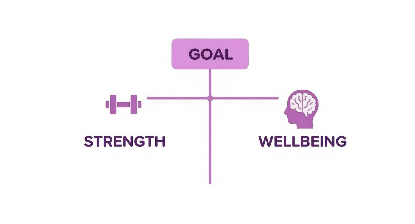 Infographic about women take creatine