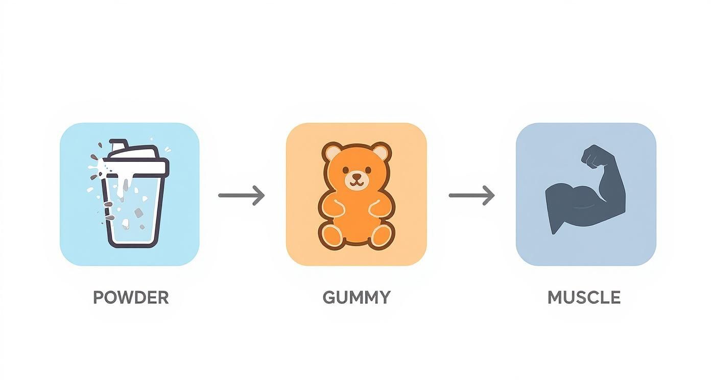 Infographic about best creatine gummies for muscle growth