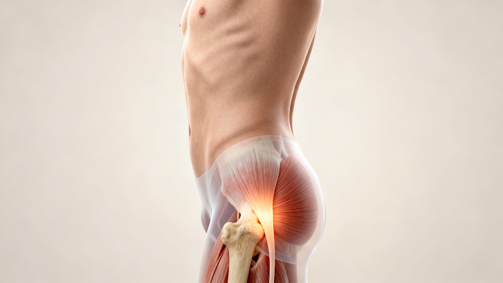 Representación 3D de la anatomía humana, mostrando el torso, cadera y músculos del psoas con un punto de dolor.