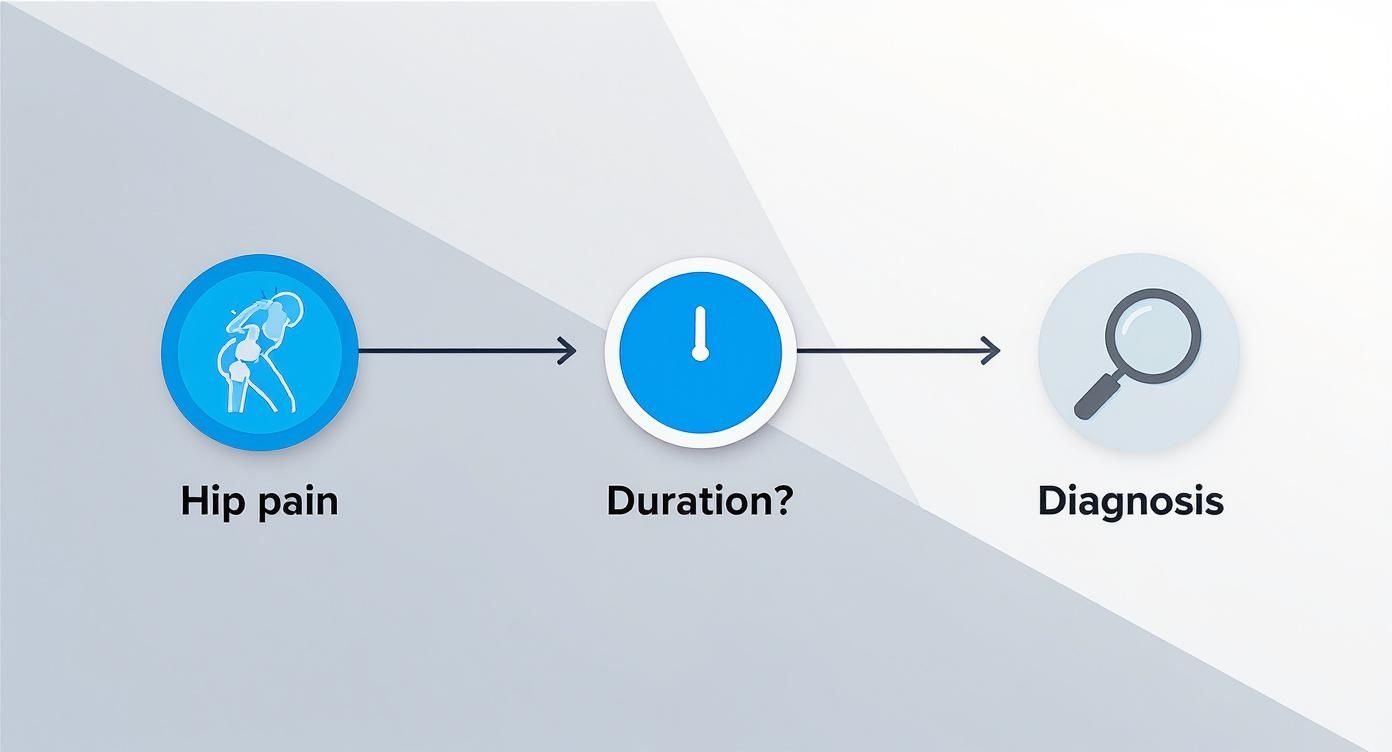Un diagrama que muestra el flujo desde el dolor de cadera, pasando por la duración de los síntomas, hasta el diagnóstico.