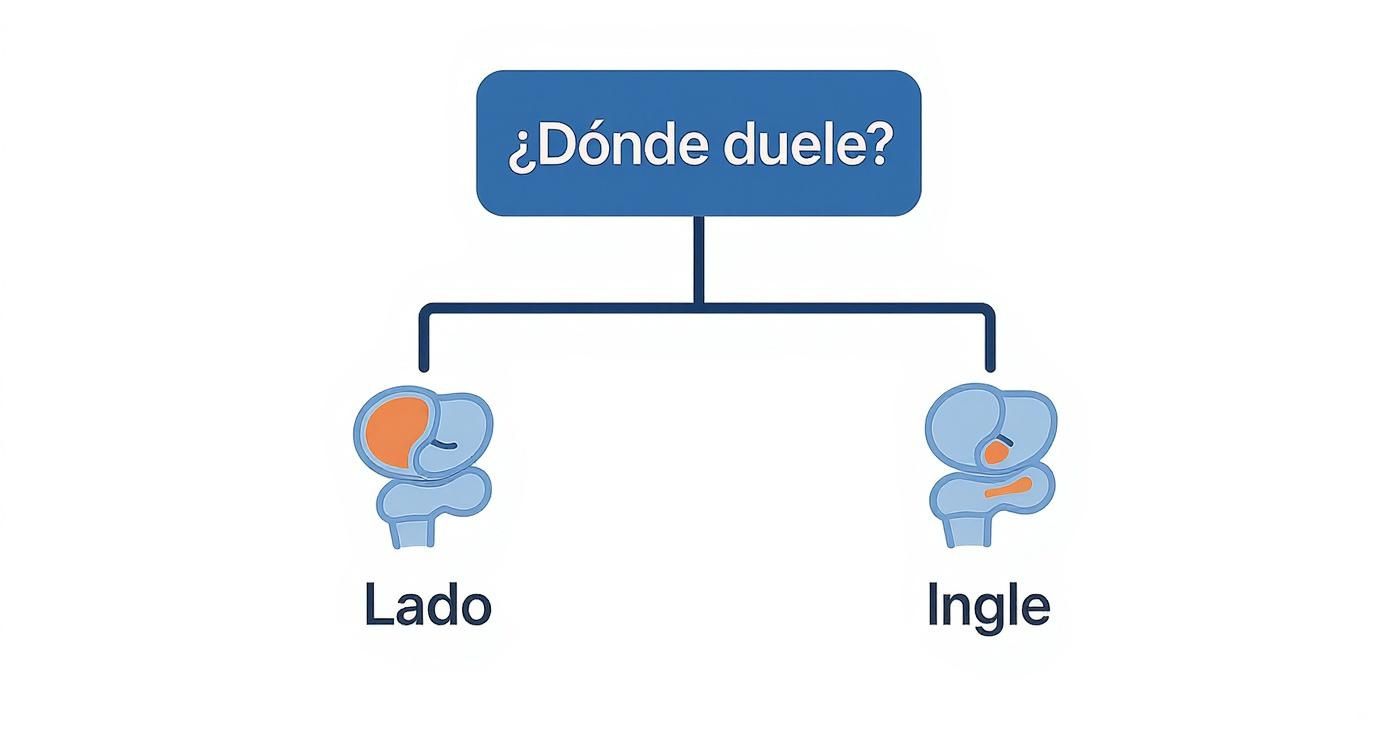 Infographic about dolor en la cadera al andar