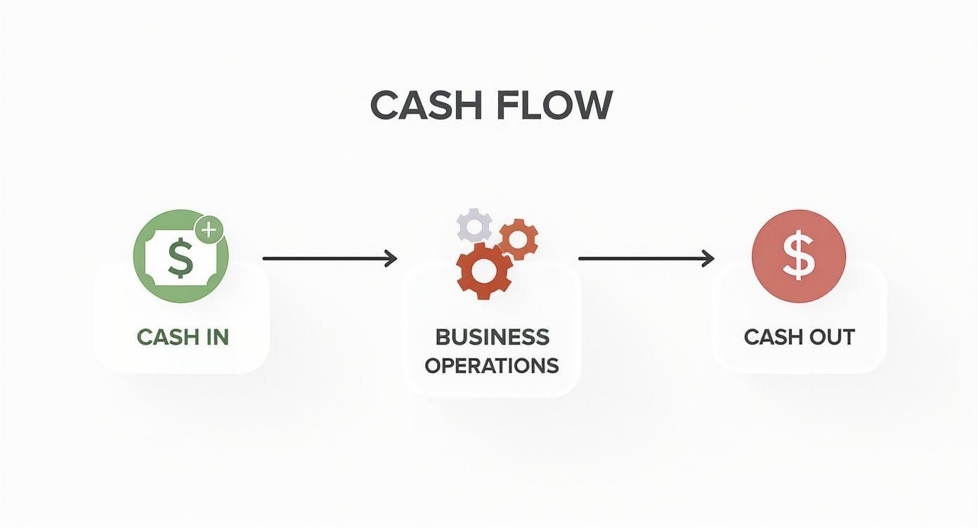 Infographic about financial projections business plan