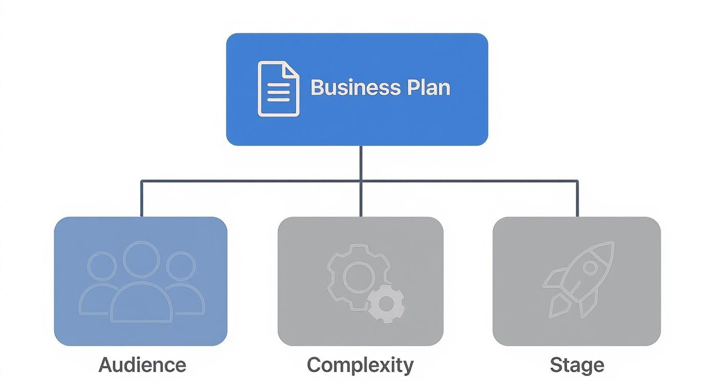 Infographic about how long should a business plan be