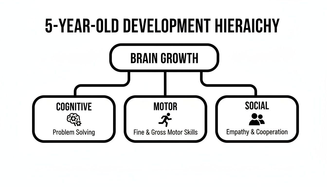 Diagram illustrating a 5-year-old's development hierarchy: brain growth, cognitive, motor, and social skills.