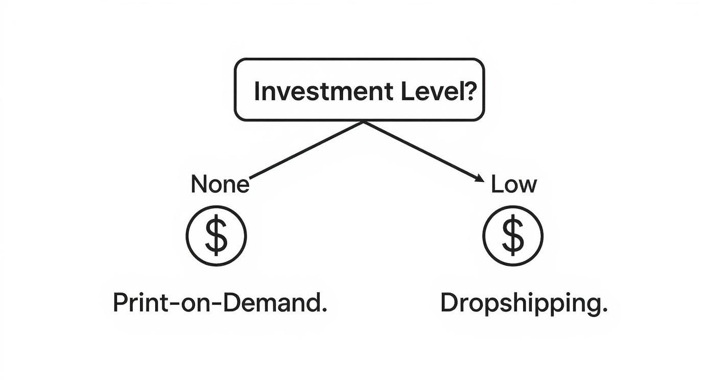 Infographic about how to start a clothing brand with no money