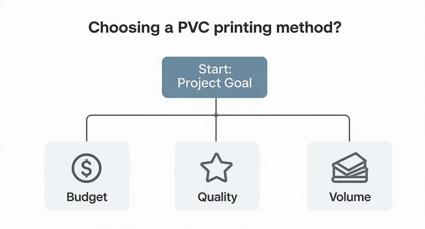 Infographic about printing on pvc cards