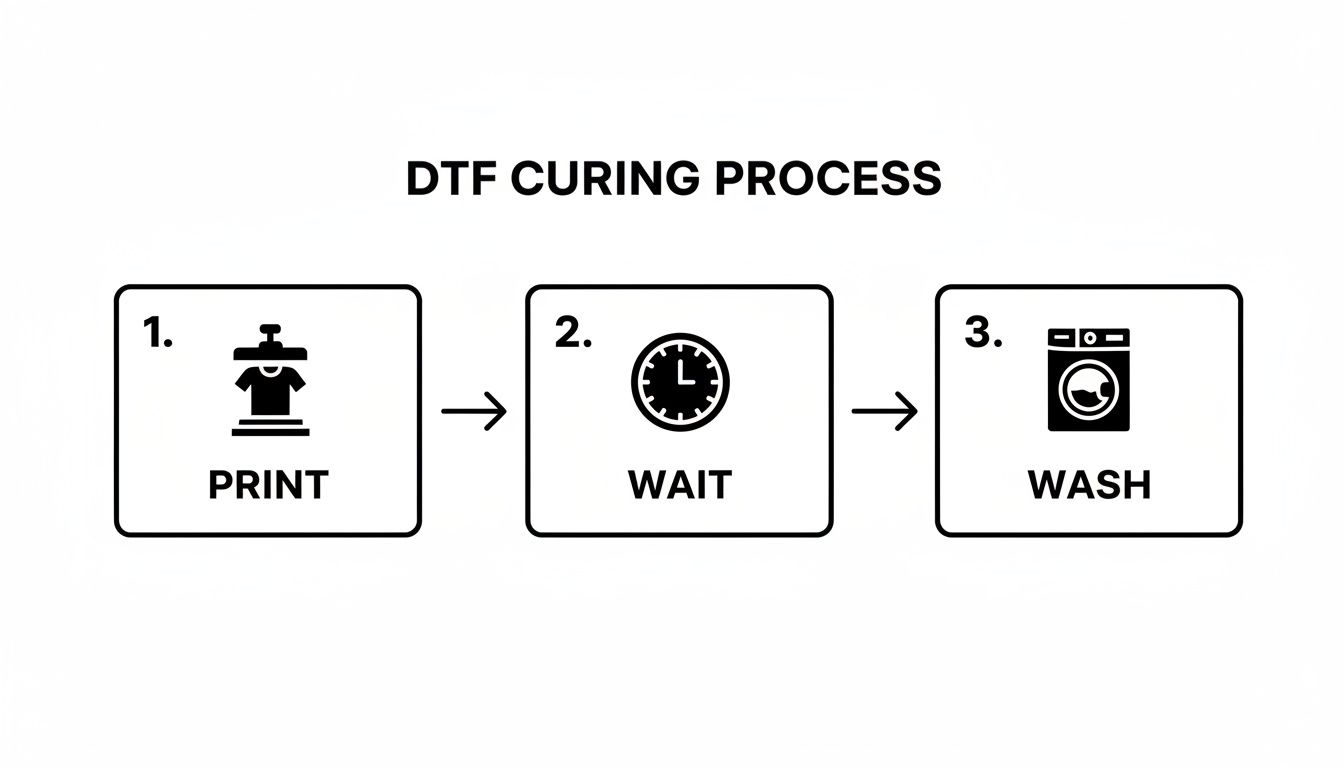 A three-step diagram illustrating the DTF curing process: 1. Print, 2. Wait, 3. Wash.