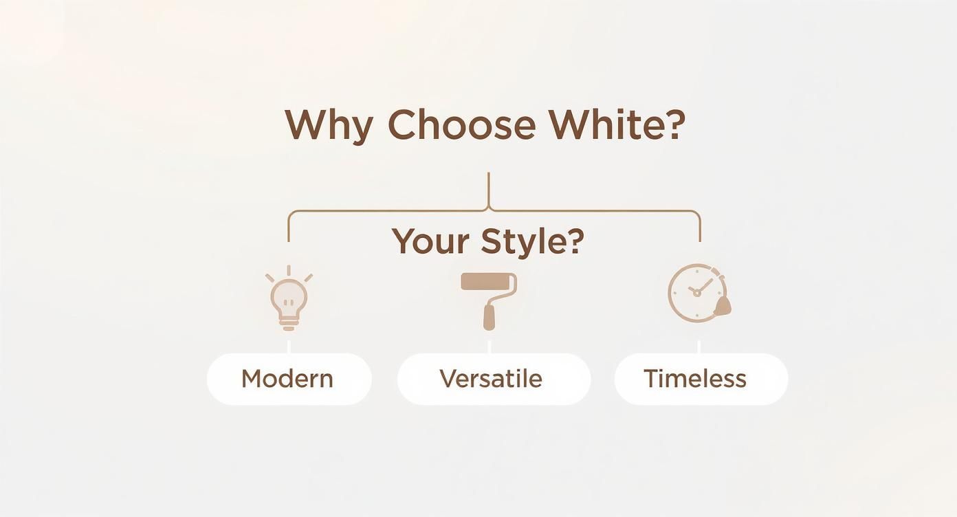 Diagram asking 'Why Choose White?' and 'Your Style?', listing reasons: Modern, Versatile, Timeless.